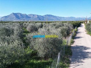 Οικόπεδο 550 τ.μ. για πώληση, Αργολίδα, Κουτσοπόδι-thumb-14