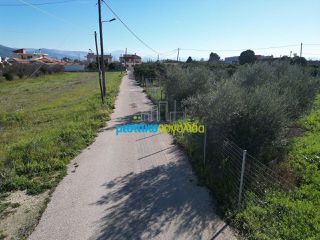 Οικόπεδο 550 τ.μ. για πώληση, Αργολίδα, Κουτσοπόδι-thumb-13