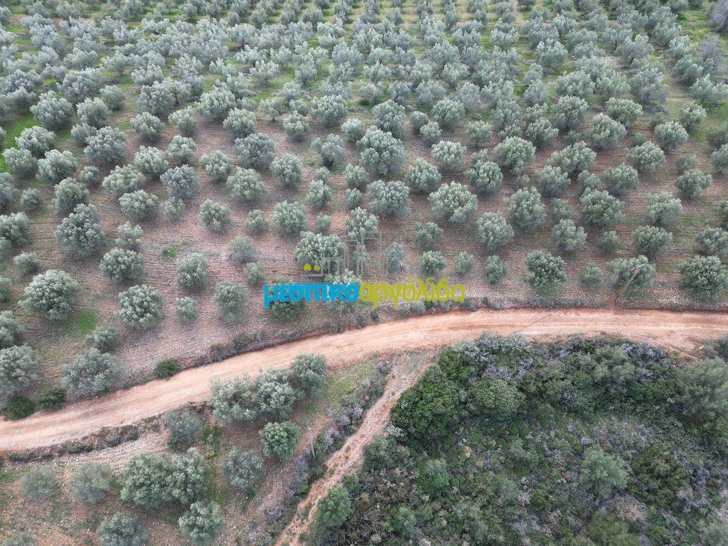 Αγροτεμάχια 9.461 τ.μ. πρός πώληση, Αργολίδα, Μυκήνες