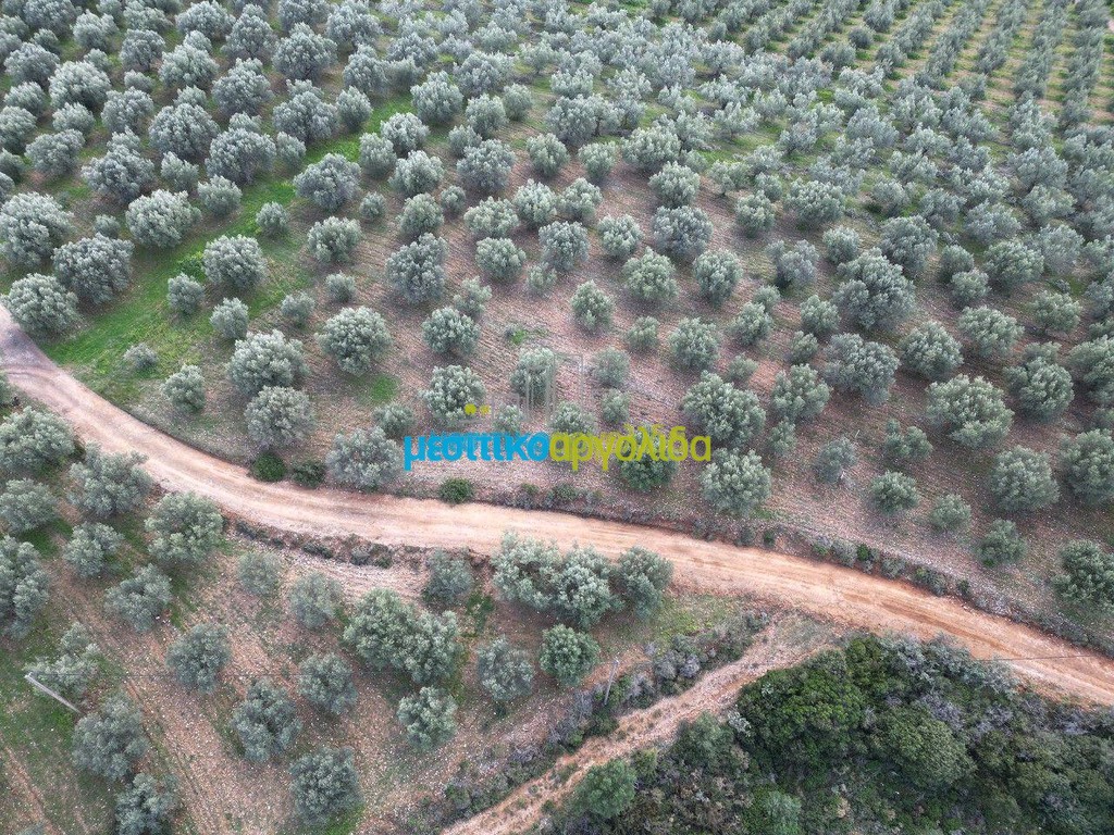 Αγροτεμάχια 9.461 τ.μ. πρός πώληση, Αργολίδα, Μυκήνες