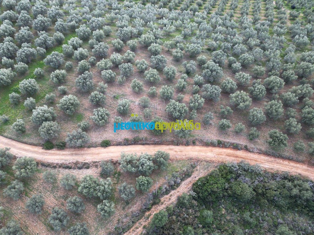 Αγροτεμάχια 9.461 τ.μ. πρός πώληση, Αργολίδα, Μυκήνες