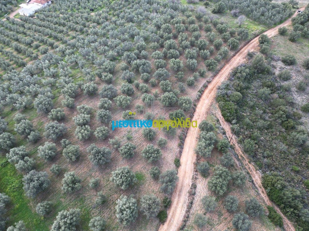 Αγροτεμάχια 9.461 τ.μ. πρός πώληση, Αργολίδα, Μυκήνες