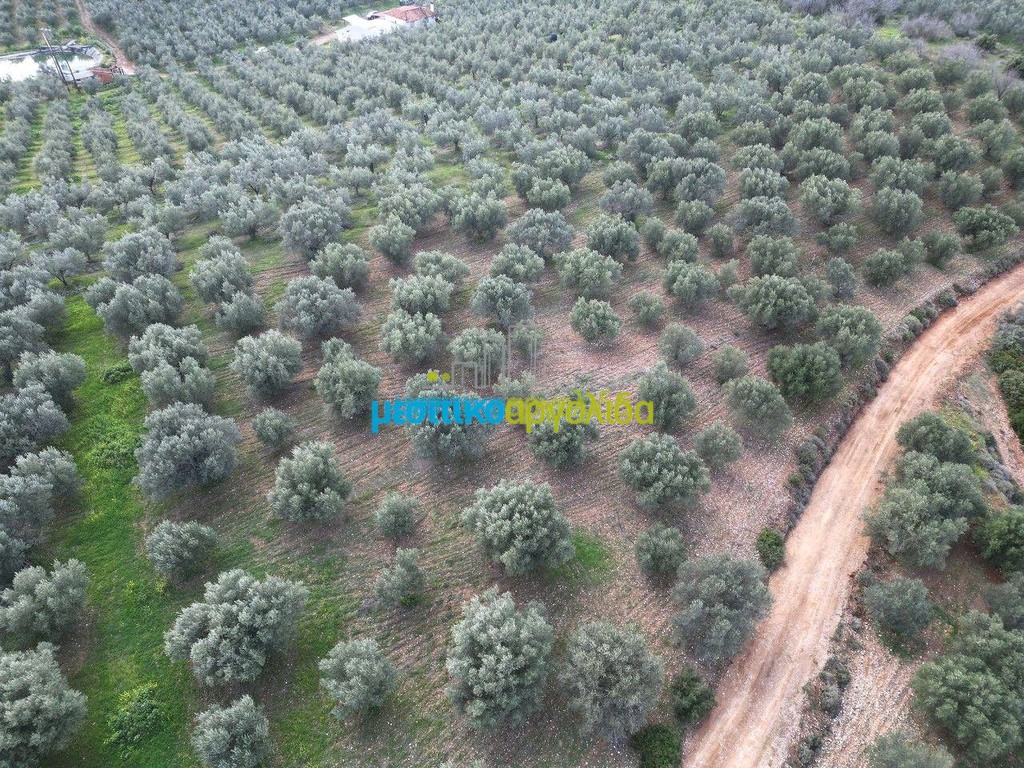 Αγροτεμάχια 9.461 τ.μ. πρός πώληση, Αργολίδα, Μυκήνες