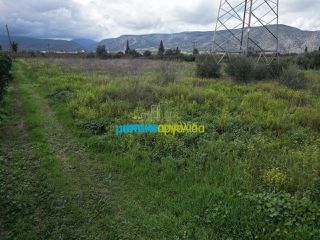 Αγροτεμάχια 4.400 τ.μ. για πώληση, Αργολίδα, Λέρνα-thumb-7