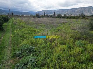 Αγροτεμάχια 4.400 τ.μ. για πώληση, Αργολίδα, Λέρνα-thumb-8
