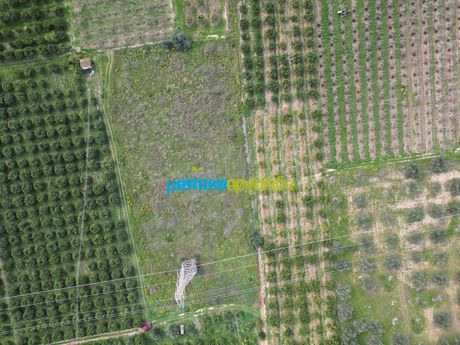 Parcel 4.400sqm for sale-Lerna