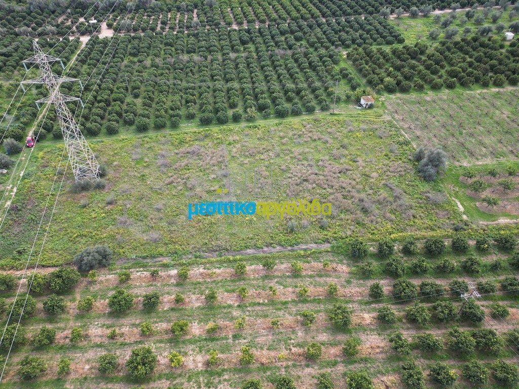 Αγροτεμάχια 4.400 τ.μ. πρός πώληση, Αργολίδα, Λέρνα