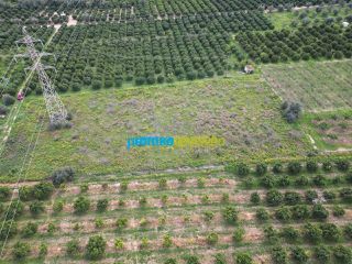 Αγροτεμάχια 4.400 τ.μ. για πώληση, Αργολίδα, Λέρνα-thumb-4
