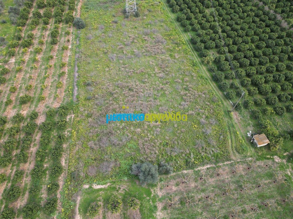 Αγροτεμάχια 4.400 τ.μ. πρός πώληση, Αργολίδα, Λέρνα