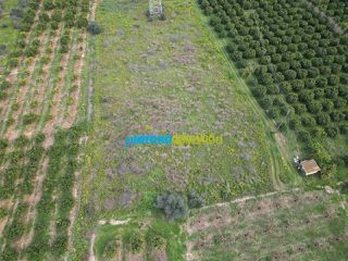 Αγροτεμάχια 4.400 τ.μ. για πώληση, Αργολίδα, Λέρνα-thumb-3