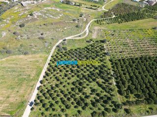 Οικόπεδο 1.200 τ.μ. για πώληση, Αργολίδα, Μυκήνες-thumb-1