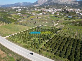 Οικόπεδο 1.200 τ.μ. για πώληση, Αργολίδα, Μυκήνες-thumb-3