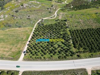 Οικόπεδο 1.200 τ.μ. για πώληση