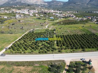 Οικόπεδο 1.200 τ.μ. για πώληση, Αργολίδα, Μυκήνες-thumb-4