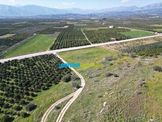 Οικόπεδο 1.200 τ.μ. για πώληση, Αργολίδα, Μυκήνες-thumb-5