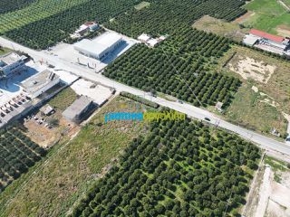 Οικόπεδο 9.298 τ.μ. για πώληση, Αργολίδα, Άργος-thumb-4