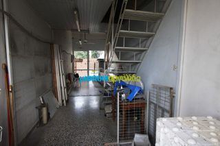 Κατάστημα 35 τ.μ. για ενοικίαση, Αργολίδα, Άργος-thumb-5