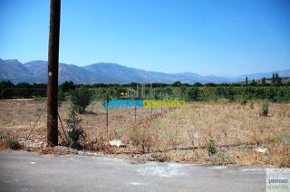 Οικόπεδο 500 τ.μ. για πώληση, Αργολίδα, Κουτσοπόδι-thumb-9