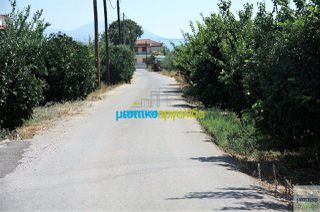 Οικόπεδο 500 τ.μ. για πώληση, Αργολίδα, Κουτσοπόδι-thumb-15