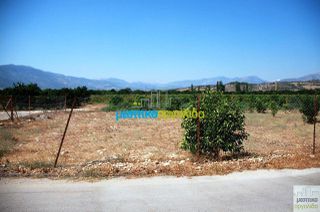 Οικόπεδο 500 τ.μ. για πώληση, Αργολίδα, Κουτσοπόδι-thumb-13