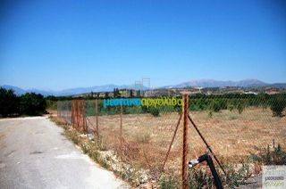 Οικόπεδο 500 τ.μ. για πώληση, Αργολίδα, Κουτσοπόδι-thumb-19
