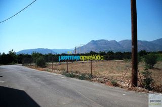 Οικόπεδο 500 τ.μ. για πώληση, Αργολίδα, Κουτσοπόδι-thumb-11