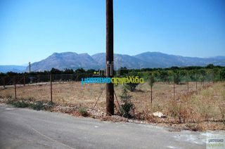 Οικόπεδο 500 τ.μ. για πώληση, Αργολίδα, Κουτσοπόδι-thumb-10