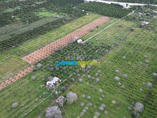Αγροτεμάχια 25.000 τ.μ. για πώληση, Αργολίδα, Μυκήνες-thumb-6