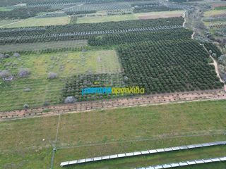 Αγροτεμάχια 25.000 τ.μ. για πώληση, Αργολίδα, Μυκήνες-thumb-3