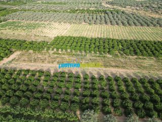 Αγροτεμάχια 50.000 τ.μ. για πώληση, Αργολίδα, Κουτσοπόδι-thumb-4