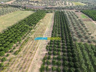Αγροτεμάχια 50.000 τ.μ. για πώληση, Αργολίδα, Κουτσοπόδι-thumb-3