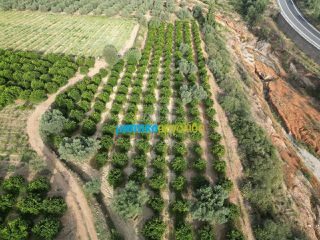 Αγροτεμάχια 50.000 τ.μ. για πώληση, Αργολίδα, Κουτσοπόδι-thumb-15