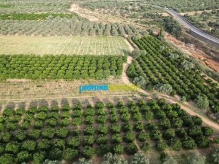 Αγροτεμάχια 50.000 τ.μ. για πώληση, Αργολίδα, Κουτσοπόδι-thumb-7