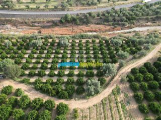 Αγροτεμάχια 50.000 τ.μ. για πώληση, Αργολίδα, Κουτσοπόδι-thumb-17