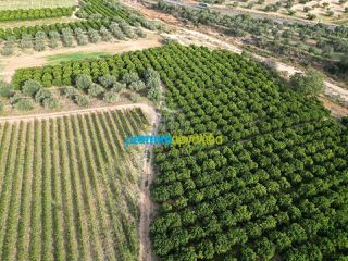 Αγροτεμάχια 50.000 τ.μ. για πώληση, Αργολίδα, Κουτσοπόδι-thumb-21
