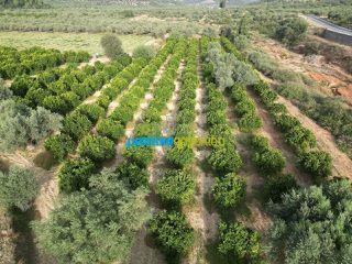 Αγροτεμάχια 50.000 τ.μ. για πώληση, Αργολίδα, Κουτσοπόδι-thumb-13