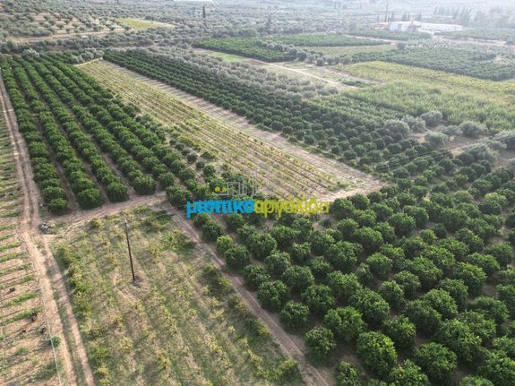 Αγροτεμάχια 50.000 τ.μ. για πώληση, Αργολίδα, Κουτσοπόδι