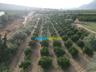 Αγροτεμάχια 50.000 τ.μ. για πώληση, Αργολίδα, Κουτσοπόδι-thumb-12