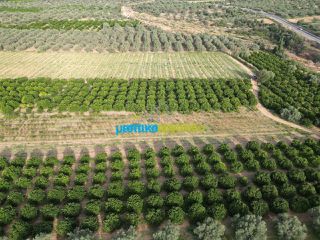 Αγροτεμάχια 50.000 τ.μ. για πώληση, Αργολίδα, Κουτσοπόδι-thumb-6