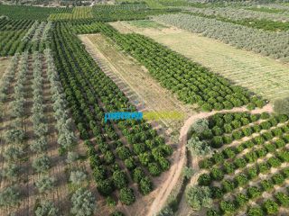 Αγροτεμάχια 50.000 τ.μ. για πώληση, Αργολίδα, Κουτσοπόδι-thumb-9