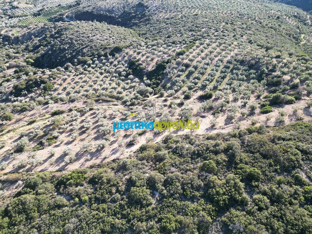 Αγροτεμάχια 53.000 τ.μ. προς πώληση, Αργολίδα, Μυκήνες