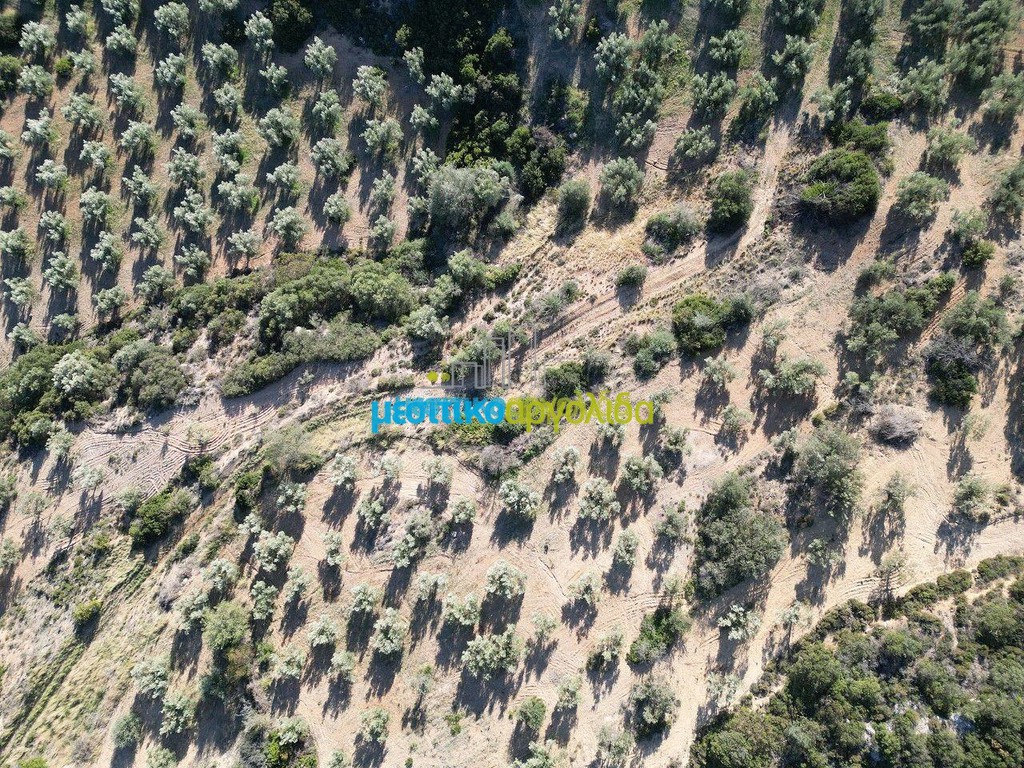 Αγροτεμάχια 53.000 τ.μ. προς πώληση, Αργολίδα, Μυκήνες