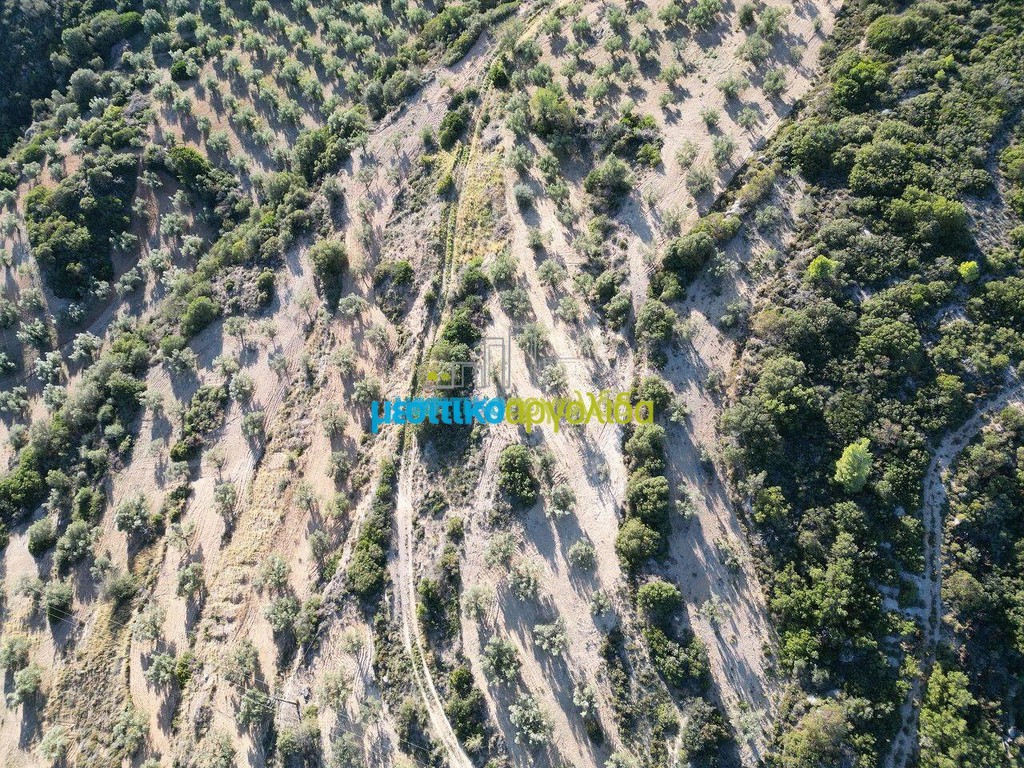 Αγροτεμάχια 53.000 τ.μ. προς πώληση, Αργολίδα, Μυκήνες