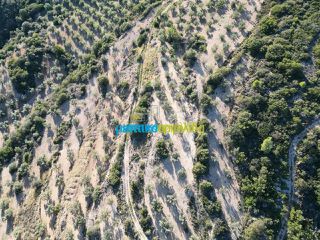 Αγροτεμάχια 53.000 τ.μ. προς πώληση, Μπόρσας-thumb-2