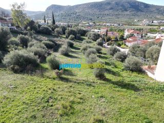 Οικόπεδο 1.226 τ.μ. για πώληση, Αργολίδα, Ναύπλιο-thumb-8