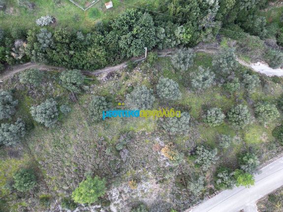 Οικόπεδο 422 τ.μ. για πώληση, Αργολίδα, Επίδαυρος