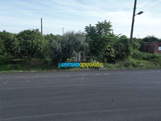 Οικόπεδο 550 τ.μ. για πώληση, Αργολίδα, Άργος-thumb-17
