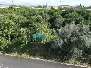 Οικόπεδο 550 τ.μ. για πώληση, Αργολίδα, Άργος-thumb-15