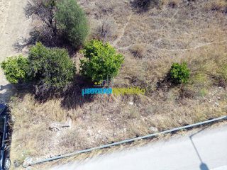 Αγροτεμάχια 3.900 τ.μ. για πώληση, Αργολίδα, Μυκήνες-thumb-11