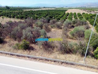 Αγροτεμάχια 3.900 τ.μ. για πώληση, Αργολίδα, Μυκήνες-thumb-12